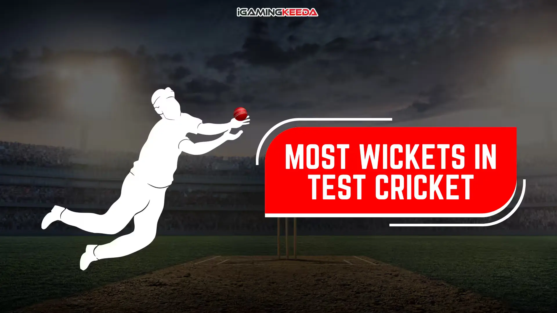 Most Wickets in Test