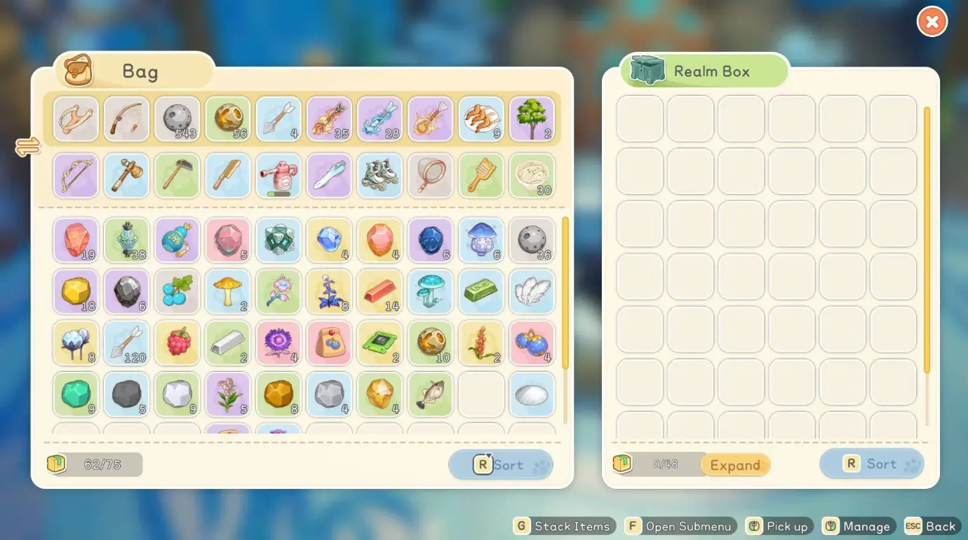 How to Get a Realm Box and use it for extra storage