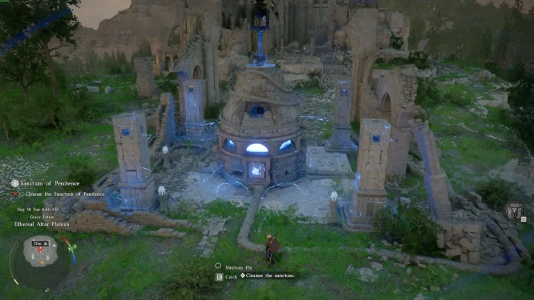 Crimson Desert Sanctum of Penitence Puzzle
