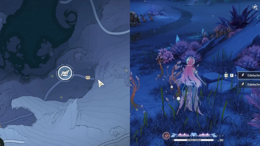 Edelschnee Locations #1. Ginnungamere Monitoring Zone