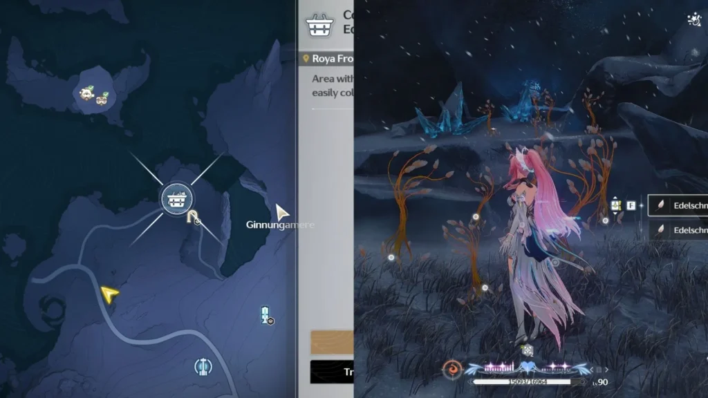 Edelschnee Locations #3 Northeast Coast Route