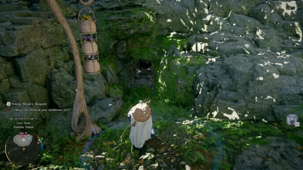 How to Get Mystical Pine Mushrooms and Complete Young Monk’s Request