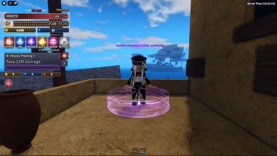 Observation Haki (Desert Island)