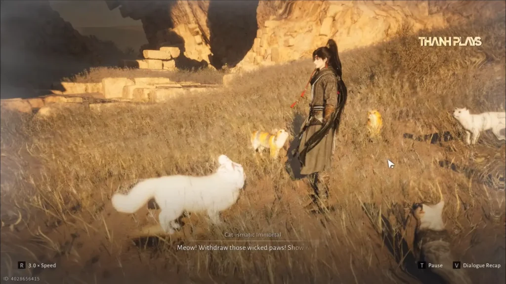 Step 5 Speak to the Cat-ismatic Immortal