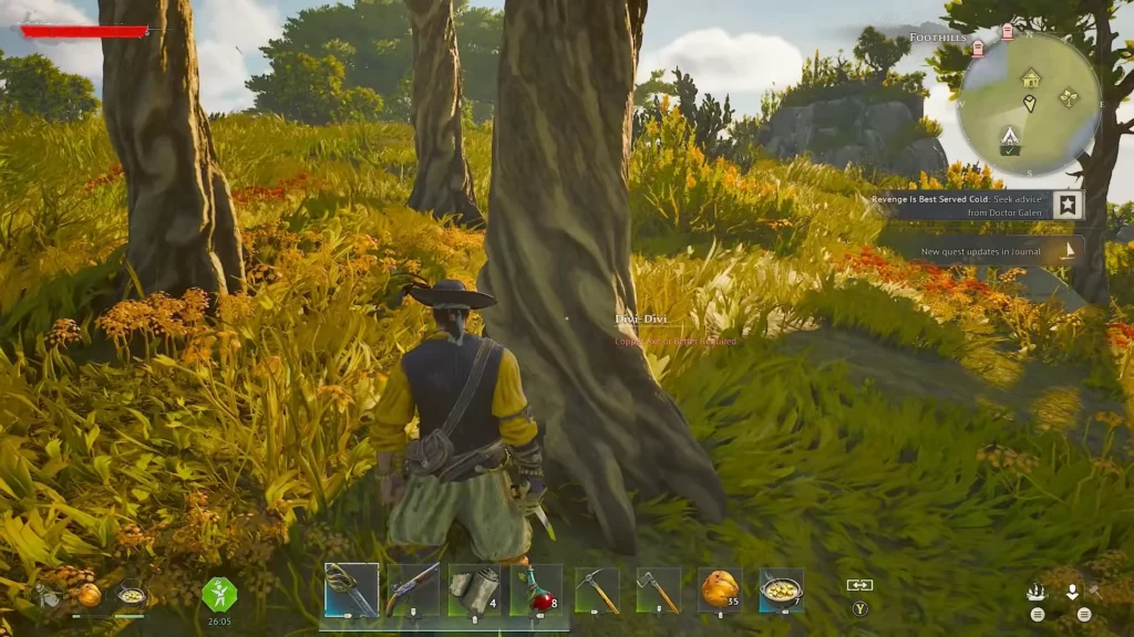 Copper Axe or Better is required to chop down Divi-Divi Trees
