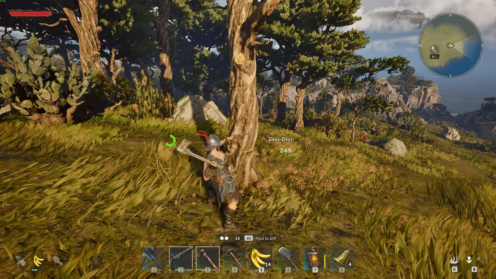 How to Get Hardwood in Windrose