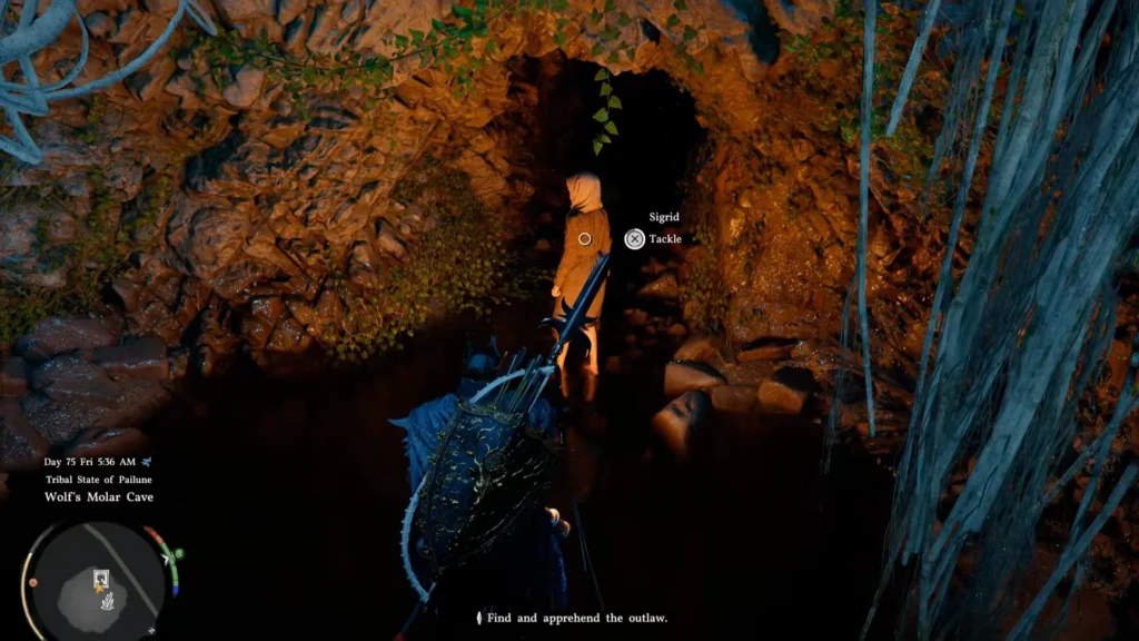 What Happens Inside the Cave